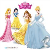 WMF Princess Kinderbestek 6-delig (online) kopen? | OnlineBestek.nl de Expert!