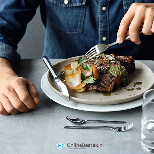 WMF Flame Saladebestek 2-delig (online) kopen? | OnlineBestek.nl de Expert!